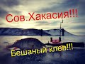 ✔️Сов. Хакасия!!! Много рыбы!!!