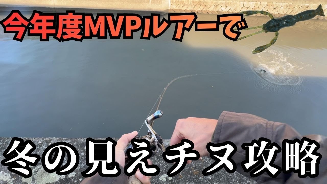 【チニング】ゼロチヌ　season4　やっぱこいつが今年度のMVP　冬の見えチヌ攻略します