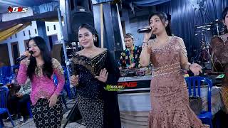 Download Lagu BUKIT BERBUNGA GAGRAK SRAGENAN - DNS CAMPURSARI - DNS AUDIO MP3 Download Lagu BUKIT BERBUNGA GAGRAK SRAGENAN - DNS CAMPURSARI - DNS AUDIO MP3