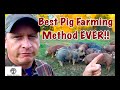 Pig Farming - Pastured Pork VS CAFO
