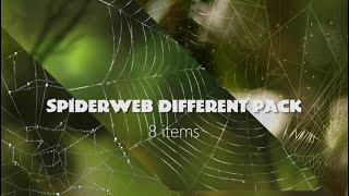 Spider Web Background Pack Stock Motion Graphics