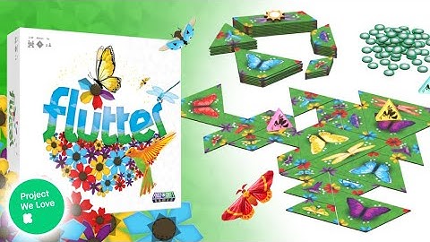 Flutter intro video v2.0