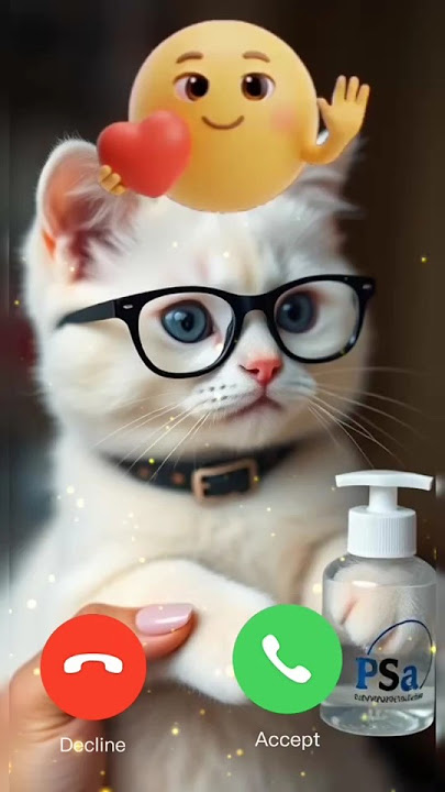 Accept it Call Ringtone Mp3 Cat Ringtone #shorts #cat #ringtone