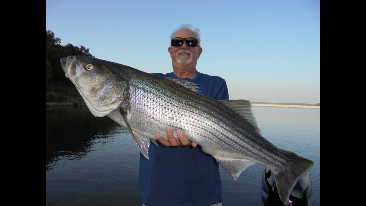 Bink's Pro Series Spoons Spooning For Stripers And Walleye YouTube