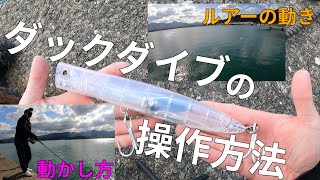 ダックダイブの操作方法 ルアーの動き 動かし方【釣り】スタジオアウトドア/STUDIO OUTDOOR【Episode 45】