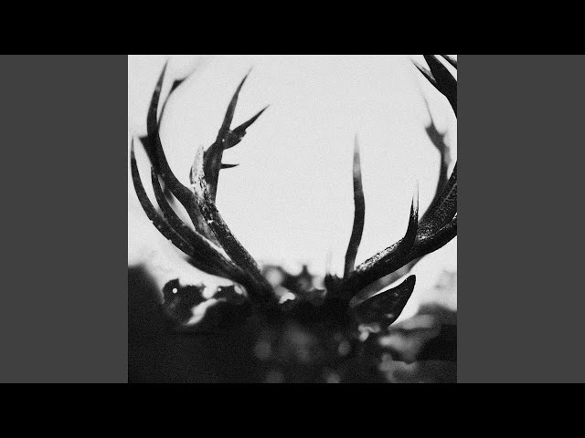 Ihsahn - A TASTE OF THE AMBROSIA