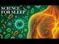 Science For Sleep | How the Immune System Actually Works (And Fights Off Bacteria)