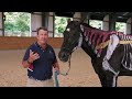 USEF Know the Signs:  Way of Riding and Training