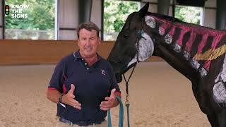 Usef Know The Signs Way Of Riding And Training