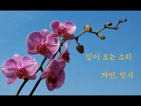 가인, 민서 - 임이 오는 소리 (가사 첨부)