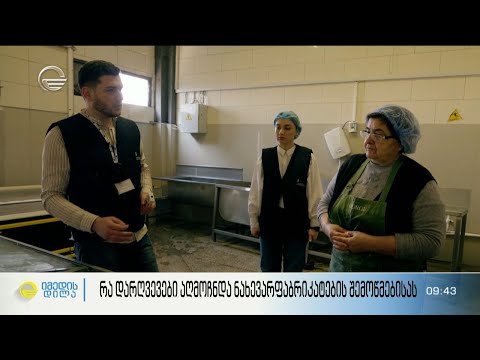 რა დარღვევები აღმოჩნდა ნახევარბაფრიკატების შემოწმებისას