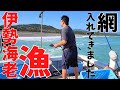 イセエビ漁、網入れ編！快晴の空の下で、刺し網漁法で伊勢海老を狙います！！Japanese lobster fisherman