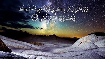 تلاوة خاشعة من تراويح ليلة ( ٨ ) رمضان ١٤٤٢