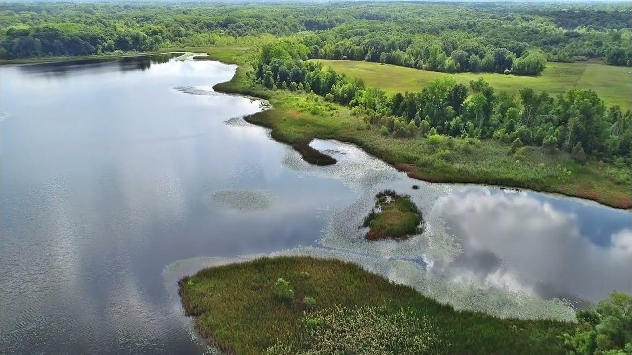 Buell Lake, Clio, MI YouTube