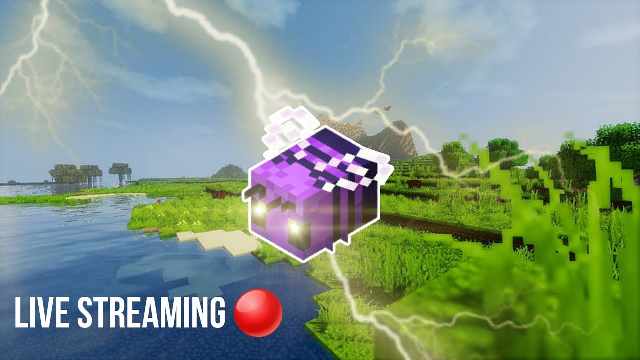 Minecraft Java Chill | Steam test* - YouTube