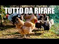 Ecco perchè non uscivano VIDEO sulle galline