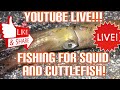 Live Squid Fishing From The Shore With Smash Fishing!!!