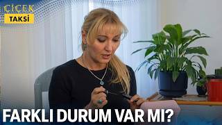 Manolya Gerçekleri Ömerden Öğrenebilecek Mi? - Çiçek Taksi 5. 
