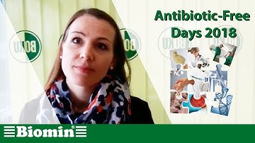 How Biotronic® can support Gram-negative bacteria control and improve performance