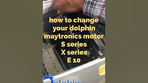 How to change a Maytronics dolphin Pool Cleaner robot motor. All X series S series E series motor