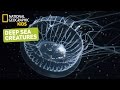 Exploring the Ocean's Mysteries