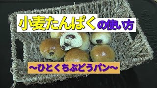 【バイタルグルテン】小麦たんぱくの使いどころ【ぶどうぱん】