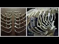 Chicken Rib Articulation Quiz