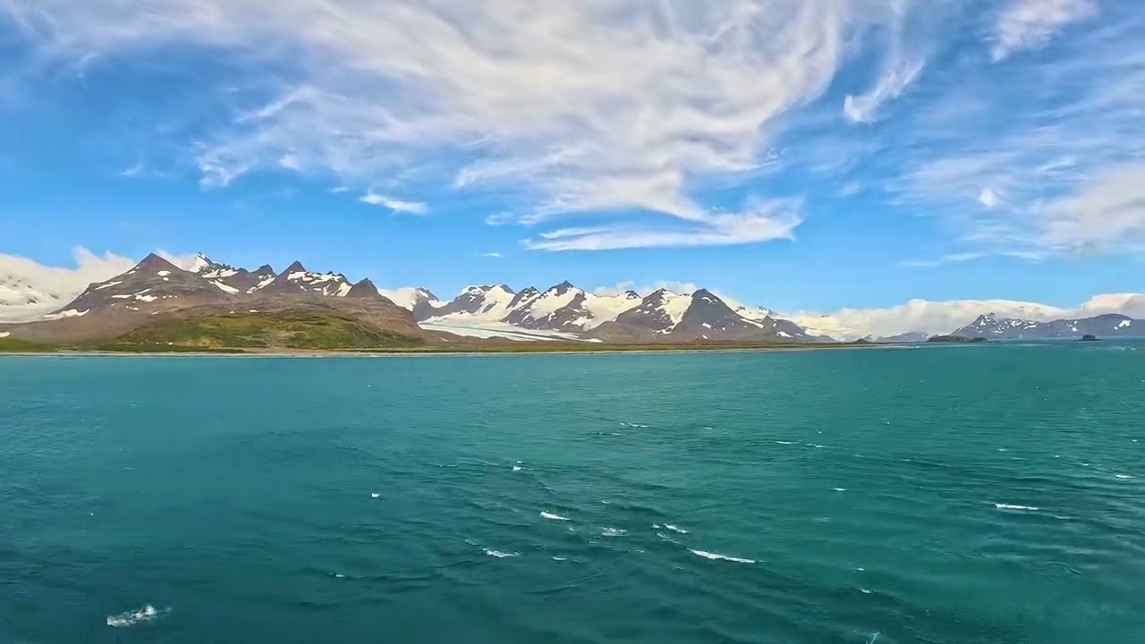 02   South Georgia Island 2025/01/31