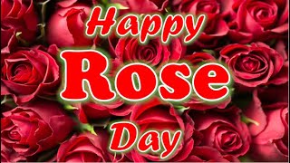 Rose Day Status 2026Rose Day Status Shayarihappy Rose Day Whatsapp Statusrose Day Whatsapp Status
