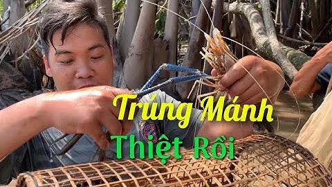 Hôm nay đặc LỜ trúng mánh TÔM CÀNG XANH hốt luôn em CÁ NGÁT | Cldv #136