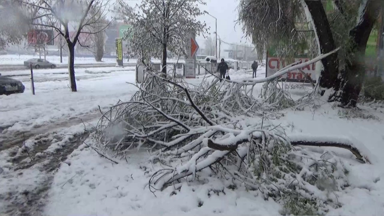 город харьков 2022. харьков апрель. александр урденко танцы в парке горького харьков 2019 год. харьков апрель. апрель в городе.