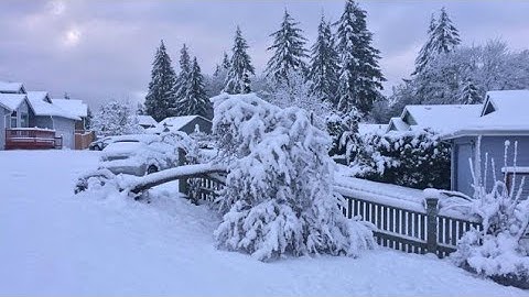 استمع للقرآن الكريم مع منظر هطول الثلج #ناصر القطامي