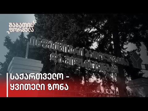 „მოქალაქეებზე პასუხისმგებლობის გადატანა არ არის სწორი” - მწვანე ზონიდან ყვითლამდე