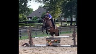 Jumping around 2’9 bareback