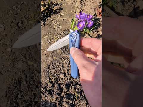 Egurnov Andrey custom knife S110V Titanium Blue   