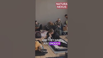 Earthquake Early Warning Systems: Seconds That Save Lives