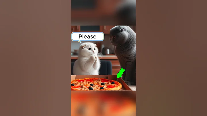 Video 10240611: kitten kucing catlover cute, kitten funny catlover kucing, cat funny kitten kucing