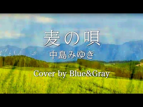 #麦の唄 #中島みゆき #Covered by #Blue&Gray #ぶるぐれ