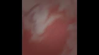 fuck you I'm going underground by grand commander but you've finally given up