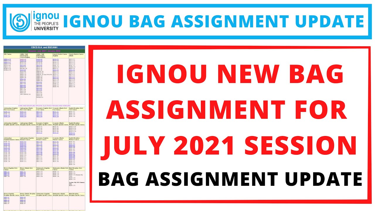 assignment bag.com