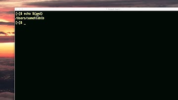 command substitution (dollar then round braces)