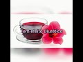 Conheça os 9 benefícios do Chá de Hibisco 🌺@AuroradaEspiritualidade #shorts