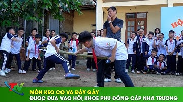 Môn kéo co và đẩy gậy được đưa vào Hội khỏe Phù Đổng cấp nhà trường