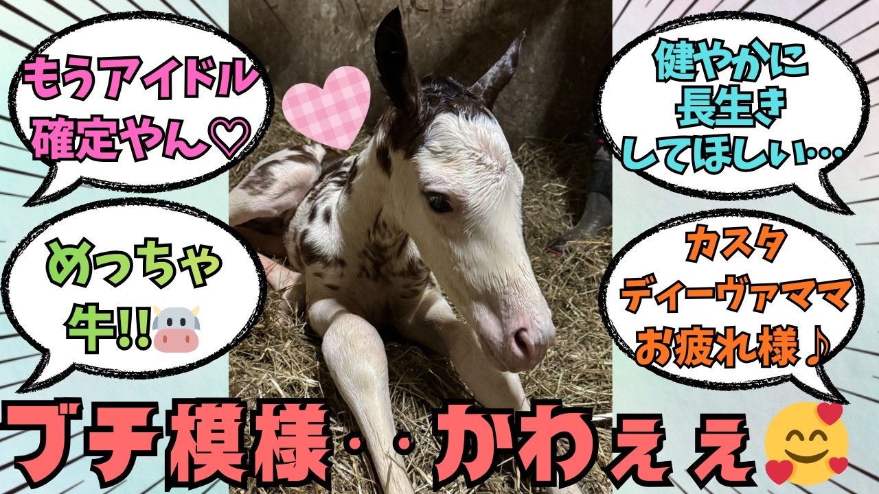 【カスタディーヴァの2026】かわいすぎるアオラキの四番目の妹が爆誕♡に対する競馬好きの反応