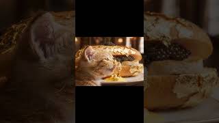 🥖 Bánh Mì Gan Ngỗng Dát Vàng ĐỈNH CAO, Mèo Con Liếm Bơ Truffle Sang Chảnh! 🐾#shorts #asmr #cat