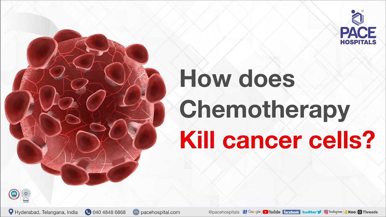 How Does Chemotherapy Kill Cancer Cells shortsvideo chemotherapy How Does Chemotherapy Kill Cancer Cells shortsvideo chemotherapy