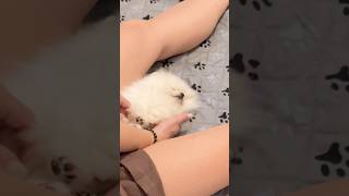 Sleepy little baby