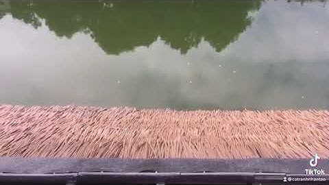 Thi Công Rơm Nhân Tạo Trực Tiếp Không Cần Mái Phụ | Hướng Dẫn Thi Công Rơm Nhân Tạo