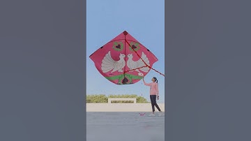 #kite #2025 #photography