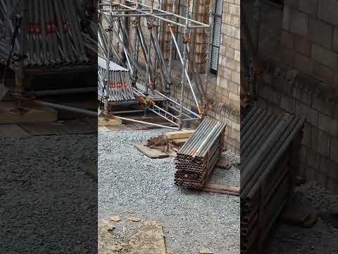 ZORRO CON SARNA a las puertas del MUSEO DE HISTORIA NATURAL DE LONDRES